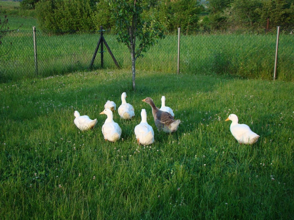 Pokoje Przy Kominie Comuna de Piecki Exterior foto
