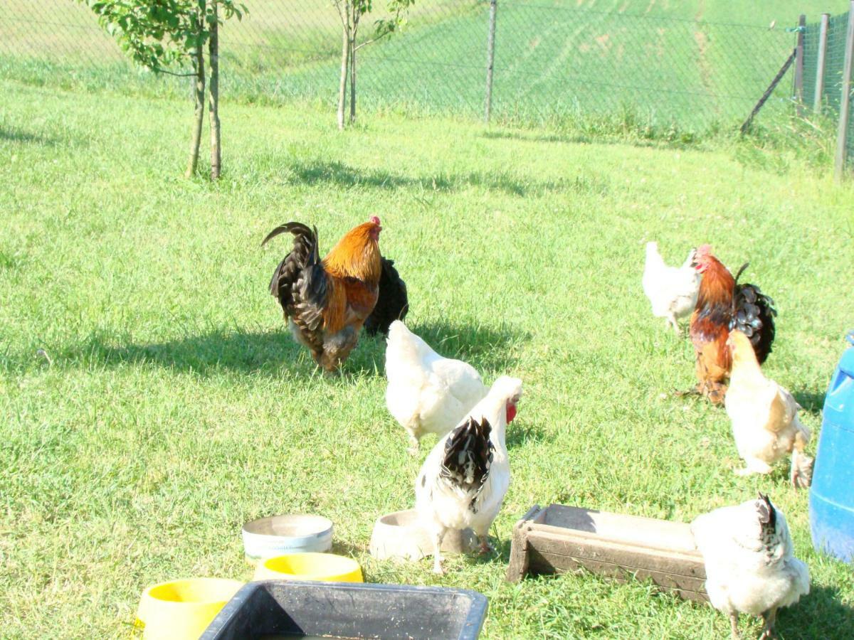 Pokoje Przy Kominie Comuna de Piecki Exterior foto